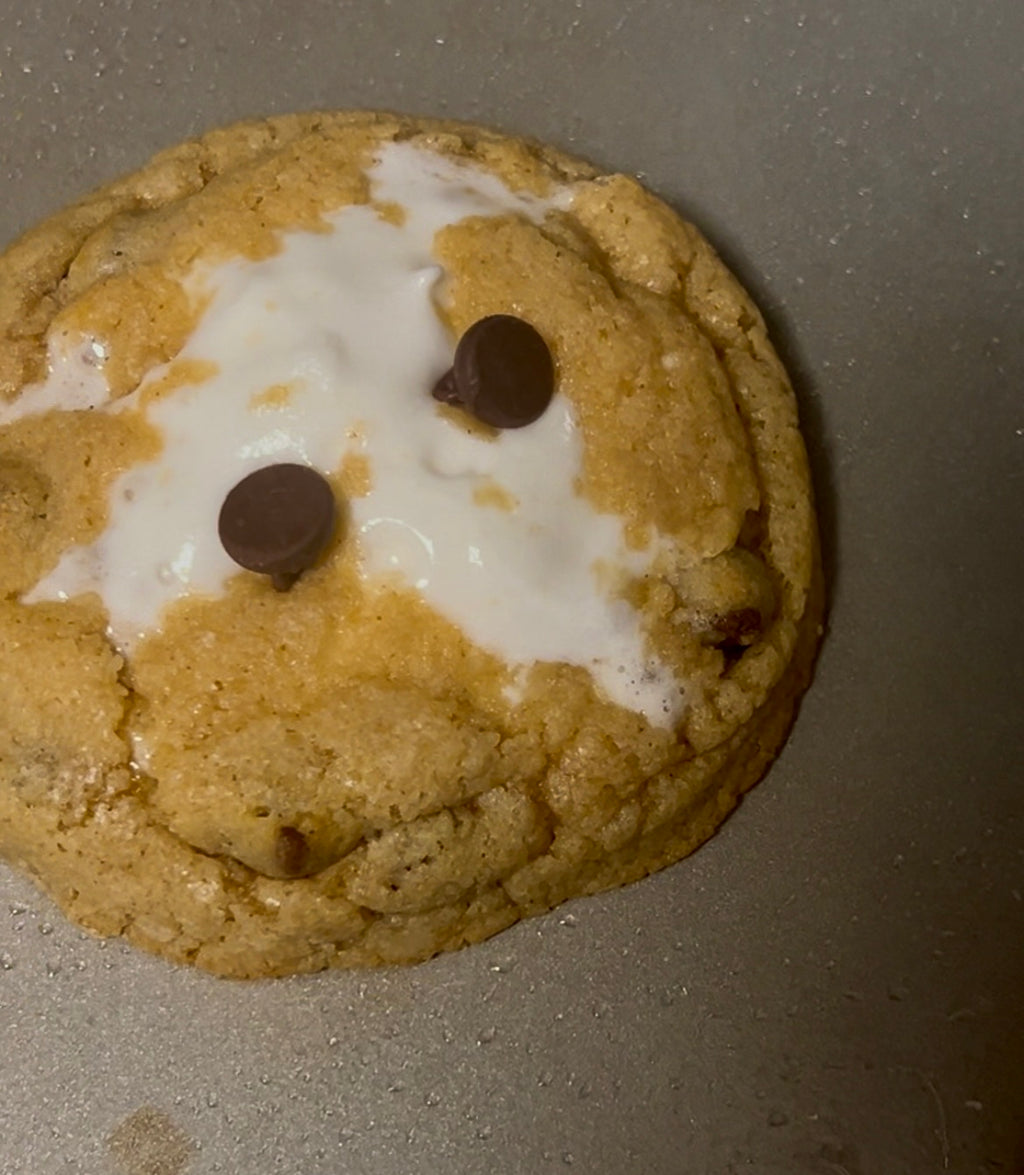 Classic S’mores or Strawberry S’mores