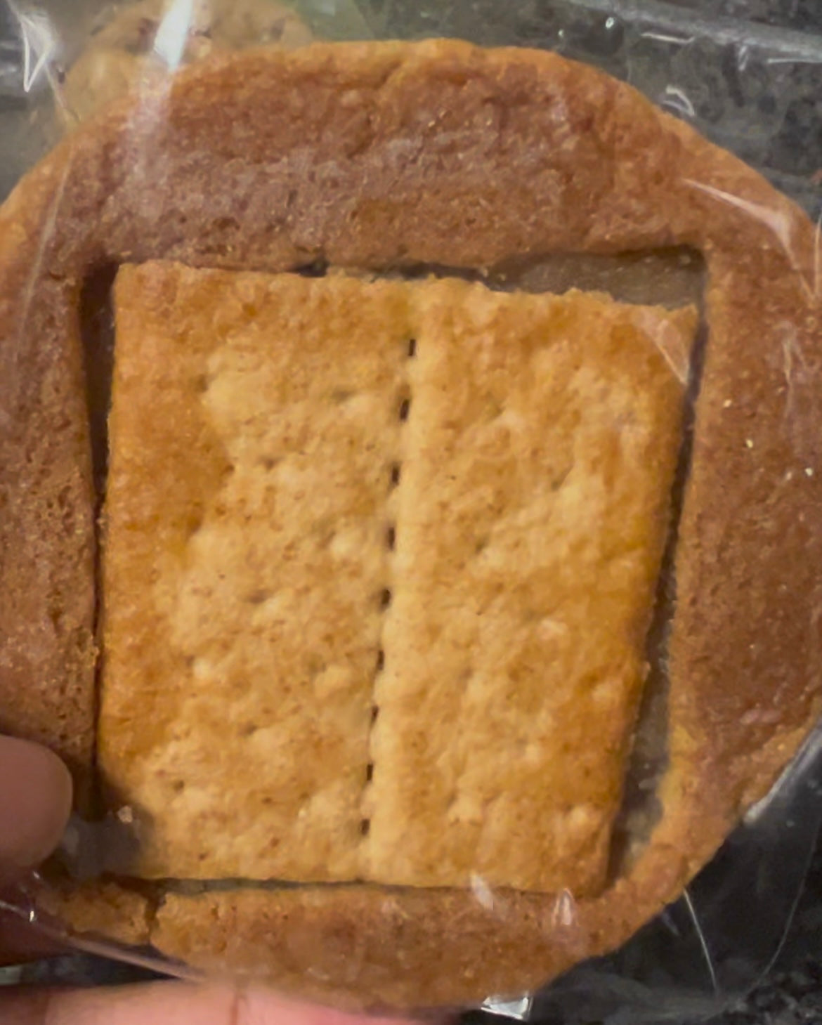 Classic S’mores or Strawberry S’mores